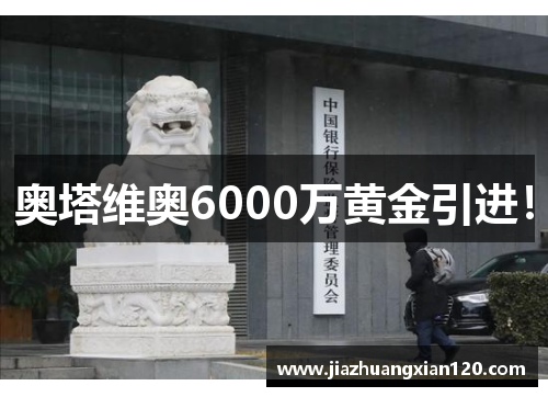 奥塔维奥6000万黄金引进！